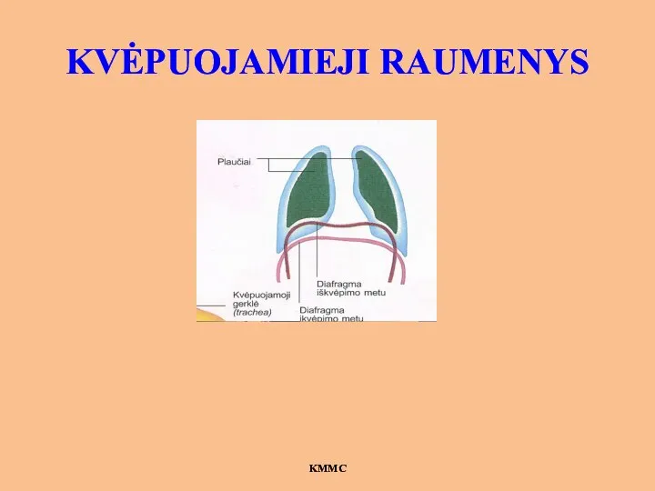 KVĖPUOJAMIEJI RAUMENYS KMMC