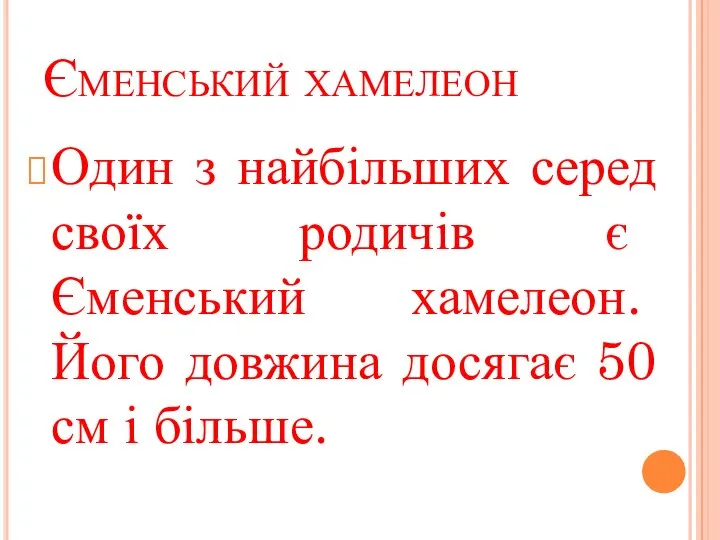 Єменський хамелеон Один з найбільших серед своїх родичів є Єменський хамелеон. Його