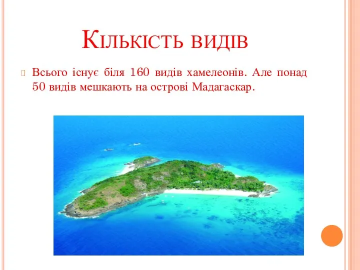 Кількість видів Всього існує біля 160 видів хамелеонів. Але понад 50 видів мешкають на острові Мадагаскар.