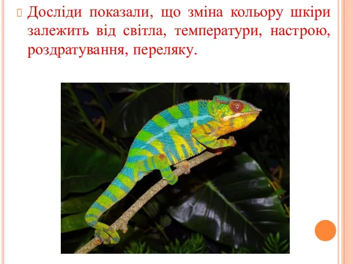 Досліди показали, що зміна кольору шкіри залежить від світла, температури, настрою, роздратування, переляку.