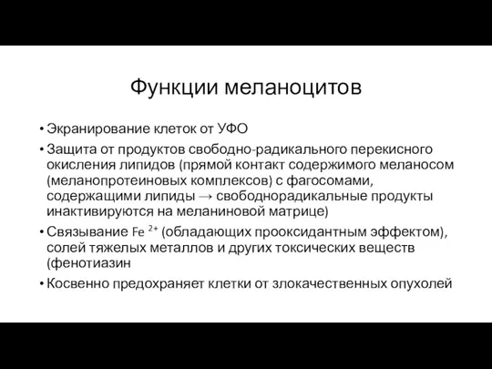 Функции меланоцитов Экранирование клеток от УФО Защита от продуктов свободно-радикального перекисного окисления