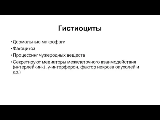 Гистиоциты Дермальные макрофаги Фагоцитоз Процессинг чужеродных веществ Секретируют медиаторы межклеточного взаимодействия (интерлейкин-1,