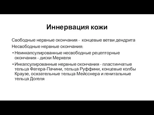 Иннервация кожи Свободные нервные окончания - концевые ветви дендрита Несвободные нервные окончания: