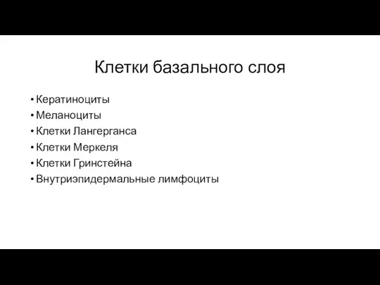 Клетки базального слоя Кератиноциты Меланоциты Клетки Лангерганса Клетки Меркеля Клетки Гринстейна Внутриэпидермальные лимфоциты