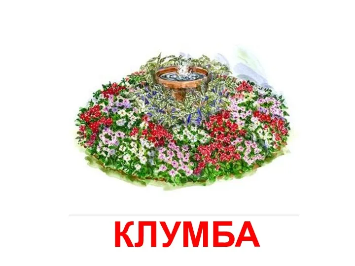 КЛУМБА