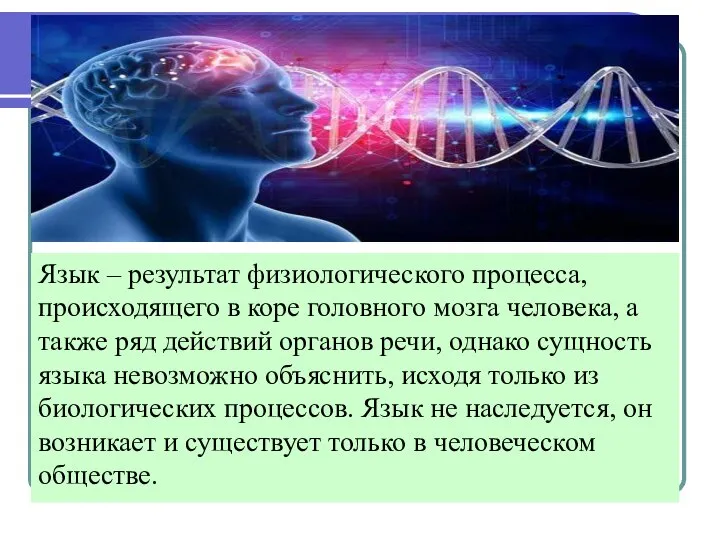 Язык – результат физиологического процесса, происходящего в коре головного мозга человека, а