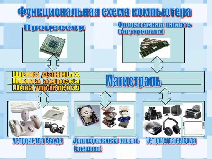 Функциональная схема компьютера Процессор Оперативная память (внутренняя) Долговременная память (внешняя) Устройства ввода