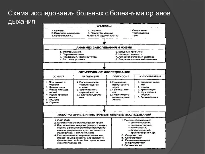 Схема исследования больных с болезнями органов дыхания