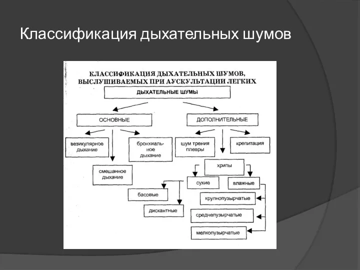 Классификация дыхательных шумов