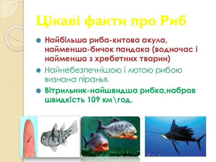 Цікаві факти про Риб Найбільша риба-китова акула,найменша-бичок пандака (водночас і найменша з