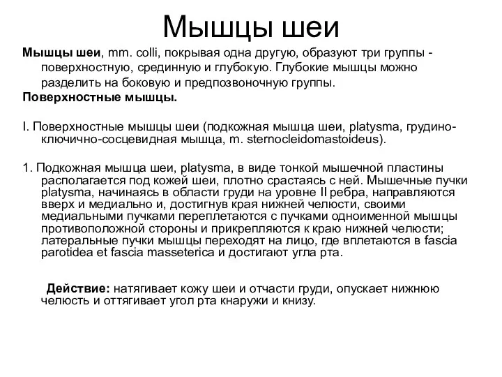 Мышцы шеи Мышцы шеи, mm. colli, покрывая одна другую, образуют три группы