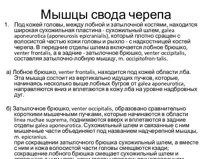 Мышцы свода черепа Под кожей головы, между лобной и затылочной костями, находится