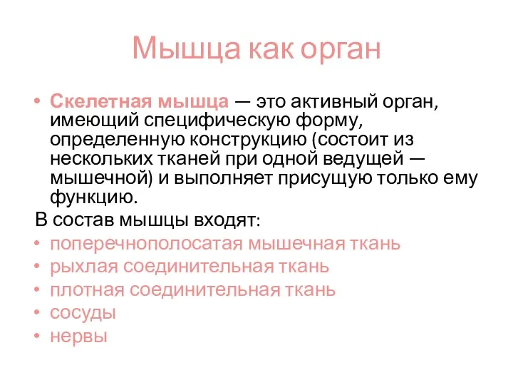 Мышца как орган Скелетная мышца — это активный орган, имеющий специфическую форму,