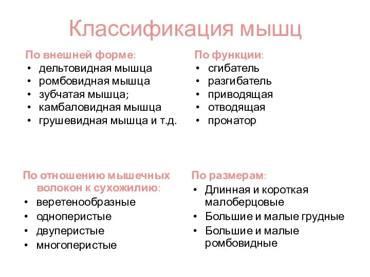 Классификация мышц По внешней форме: дельтовидная мышца ромбовидная мышца зубчатая мышца; камбаловидная