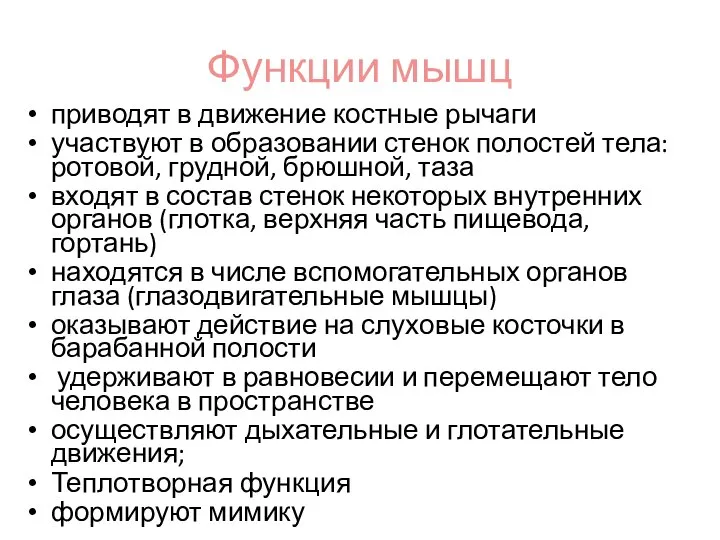 Функции мышц приводят в движение костные рычаги участвуют в образовании стенок полостей