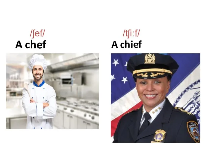 A chef A chief A chief /ʃef/ /tʃiːf/