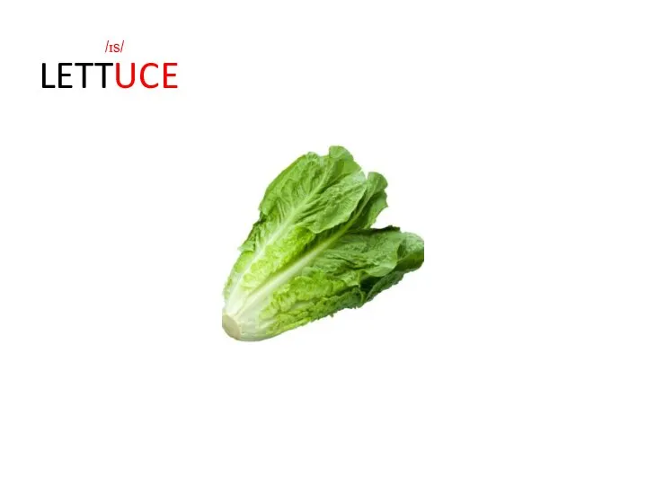 LETTUCE /ɪs/