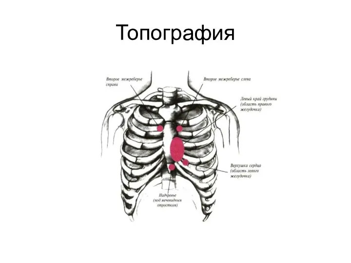 Топография