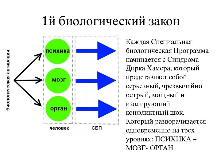 1й биологический закон Каждая Специальная биологическая Программа начинается с Синдрома Дирка Хамера,