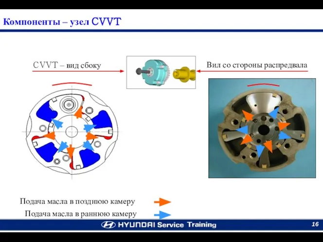 Компоненты – узел CVVT Подача масла в позднюю камеру Подача масла в