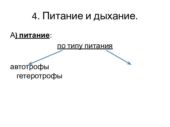 4. Питание и дыхание. А) питание: по типу питания автотрофы гетеротрофы