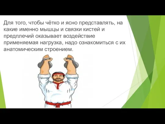 Для того, чтобы чётко и ясно представлять, на какие именно мышцы и