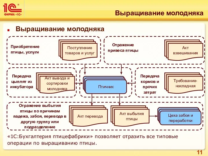 Выращивание молодняка «1С:Бухгалтерия птицефабрики» позволяет отразить все типовые операции по выращиванию птицы. Выращивание молодняка