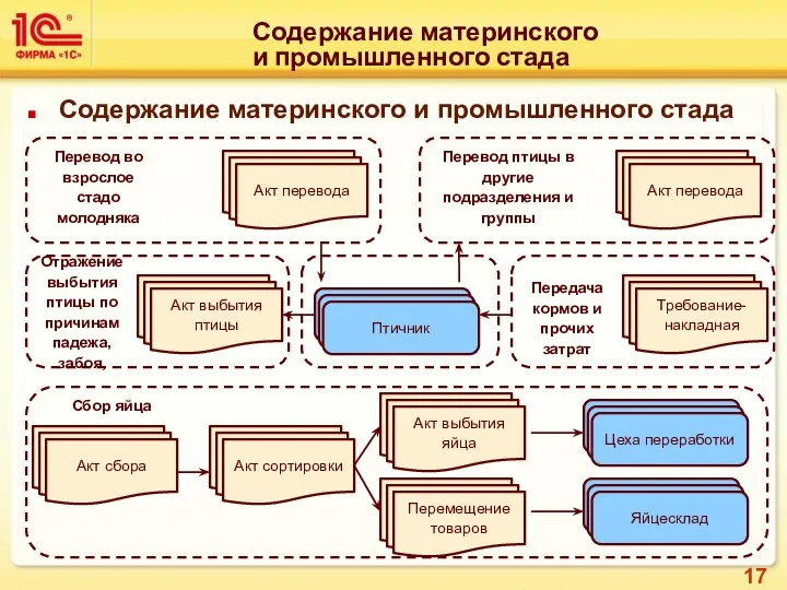 Содержание материнского и промышленного стада Содержание материнского и промышленного стада Сбор яйца