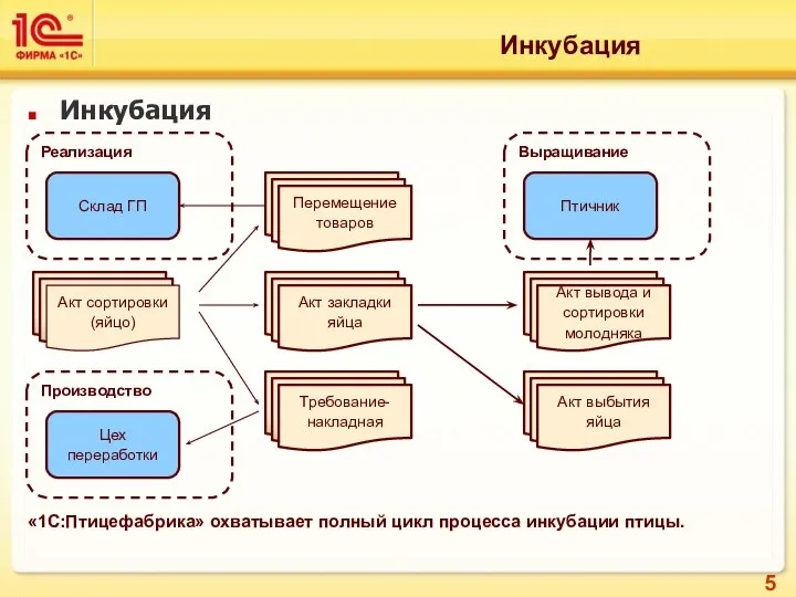 Инкубация Инкубация «1С:Птицефабрика» охватывает полный цикл процесса инкубации птицы.