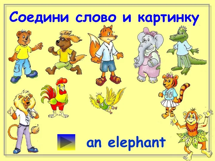 Соедини слово и картинку an elephant