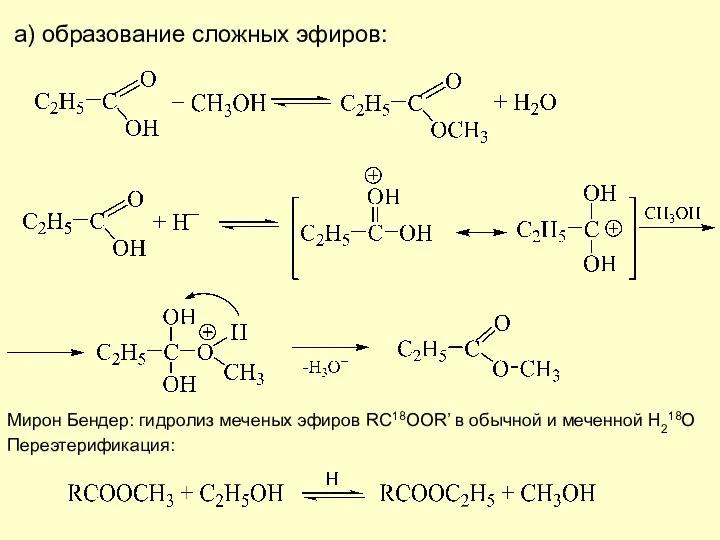 а) образование сложных эфиров: Мирон Бендер: гидролиз меченых эфиров RC18OOR’ в обычной и меченной H218O Переэтерификация: