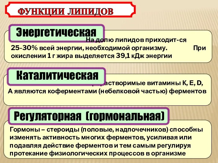 Энергетическая ФУНКЦИИ ЛИПИДОВ На долю липидов приходит-ся 25-30% всей энергии, необходимой организму.