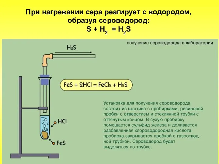 При нагревании сера реагирует с водородом, образуя сероводород: S + Н2 = H2S