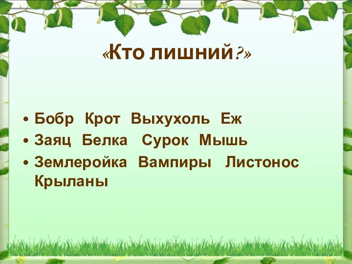 «Кто лишний?» Бобр Крот Выхухоль Еж Заяц Белка Сурок Мышь Землеройка Вампиры Листонос Крыланы