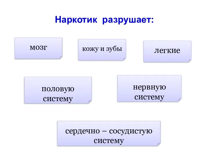 Наркотик разрушает: мозг сердечно – сосудистую систему половую систему нервную систему кожу и зубы легкие