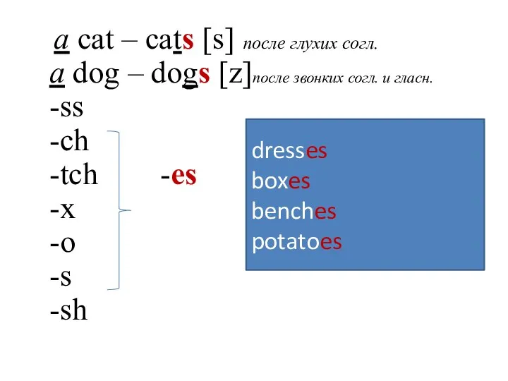 a cat – cats [s] после глухих согл. a dog – dogs