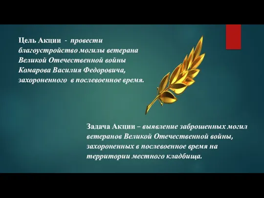 Цель Акции - провести благоустройство могилы ветерана Великой Отечественной войны Комарова Василия