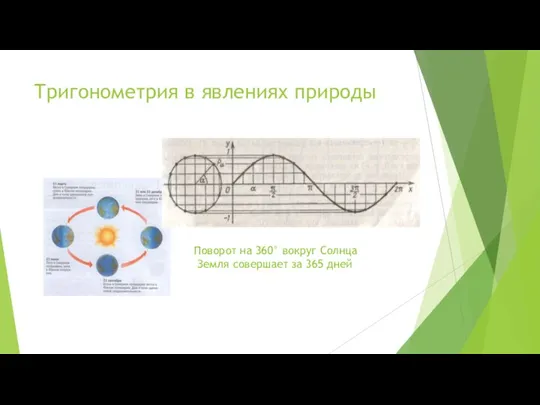 Тригонометрия в явлениях природы Поворот на 360° вокруг Солнца Земля совершает за 365 дней