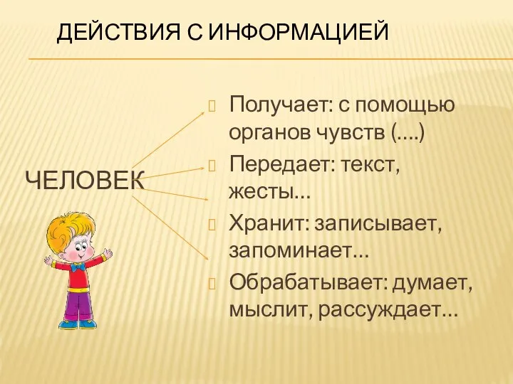 ЧЕЛОВЕК Получает: с помощью органов чувств (….) Передает: текст, жесты… Хранит: записывает,