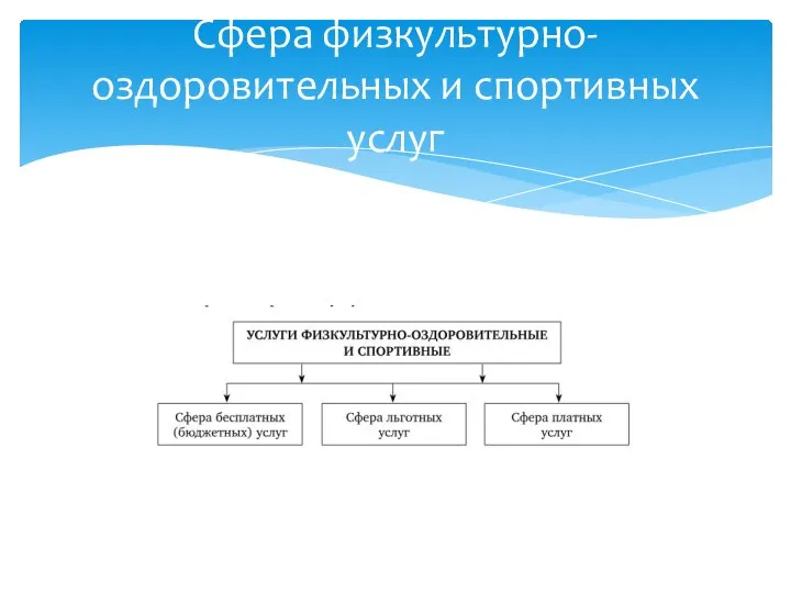 Сфера физкультурно-оздоровительных и спортивных услуг