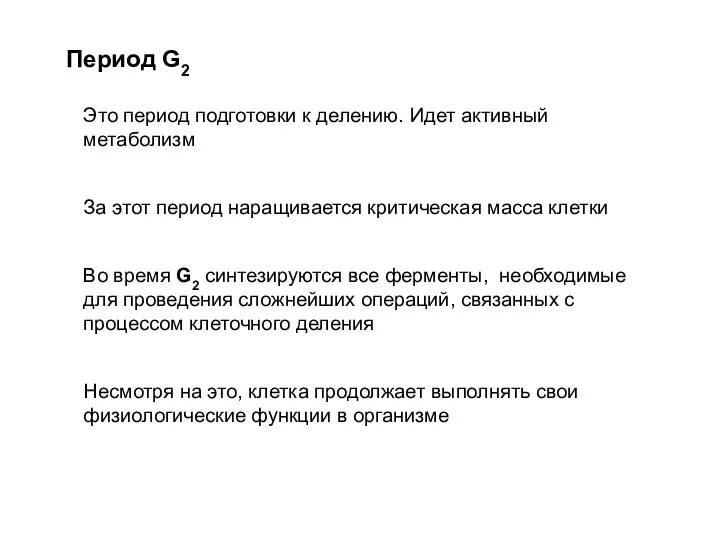 Период G2 Это период подготовки к делению. Идет активный метаболизм За этот