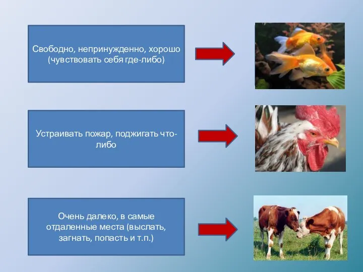 Свободно, непринужденно, хорошо (чувствовать себя где-либо) Очень далеко, в самые отдаленные места