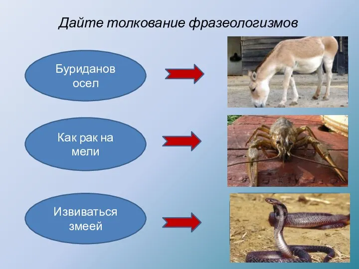 Дайте толкование фразеологизмов Буриданов осел Как рак на мели Извиваться змеей Крайне