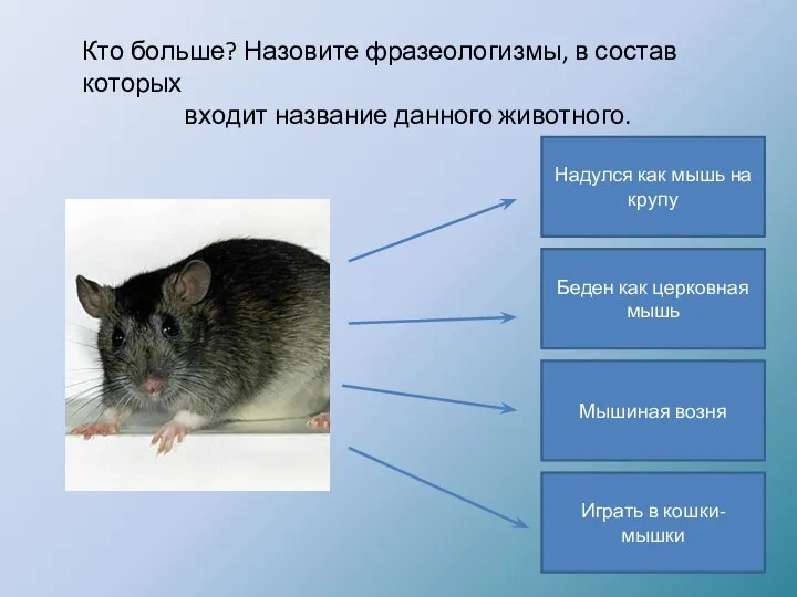 Кто больше? Назовите фразеологизмы, в состав которых входит название данного животного. Надулся