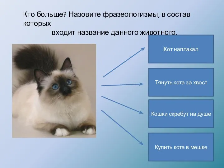 Кто больше? Назовите фразеологизмы, в состав которых входит название данного животного. Кот