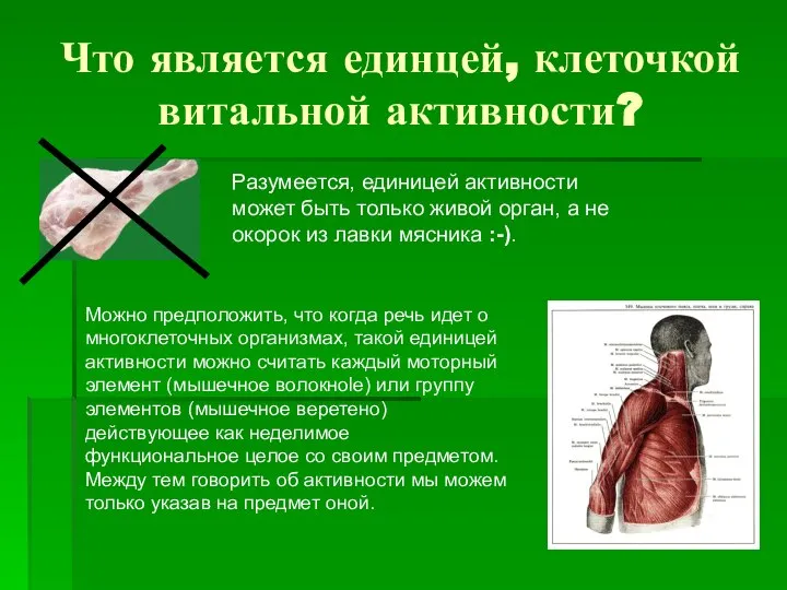 Что является единцей, клеточкой витальной активности? Разумеется, единицей активности может быть только