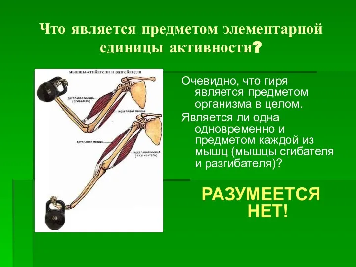 Что является предметом элементарной единицы активности? Очевидно, что гиря является предметом организма