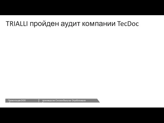 TRIALLI пройден аудит компании TecDoc