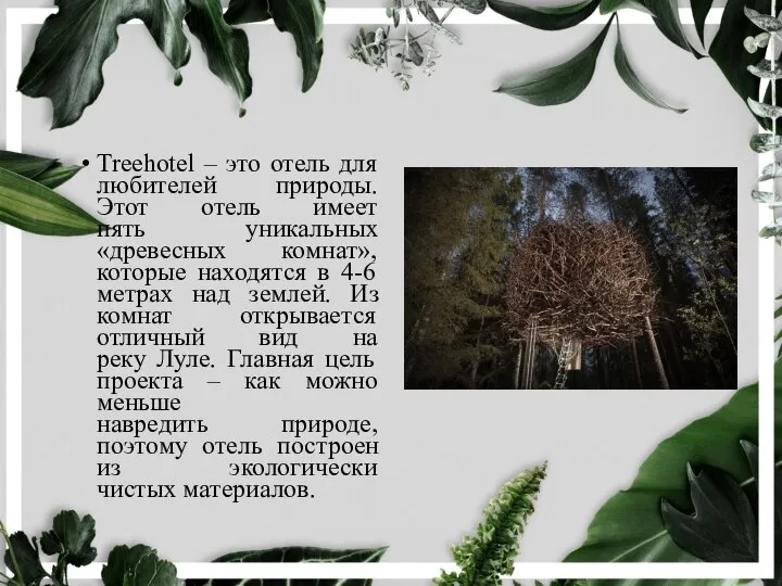 Treehotel – это отель для любителей природы. Этот отель имеет пять уникальных