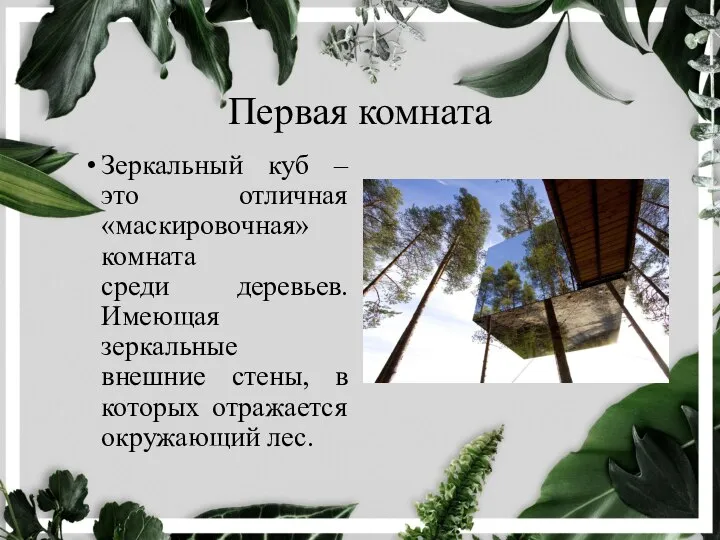 Первая комната Зеркальный куб – это отличная «маскировочная» комната среди деревьев. Имеющая